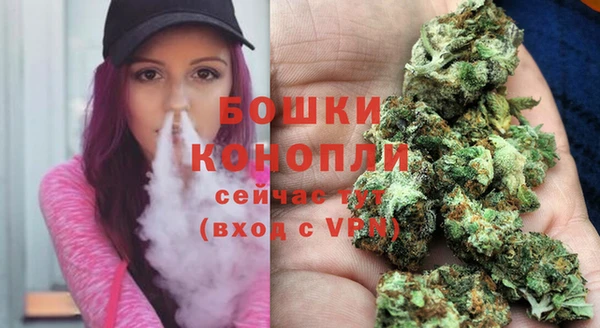 гашик Богородицк